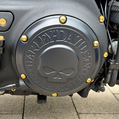 Derby Cover Schrauben - pass. f. Sportster